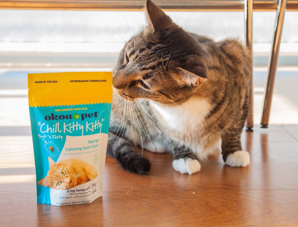Cat sniffing bag of Okoa Pet "Chill, Kitty Kitty" Calming Treats for Cats Bag.