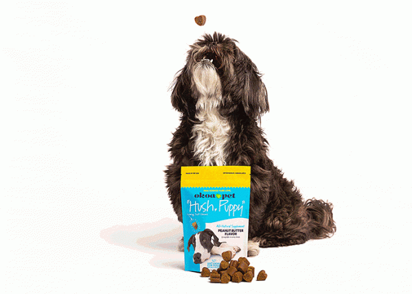Shitzu dog with "Hush, Puppy" CBD Calming Treats for Dogs