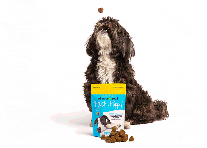 Shitzu dog with "Hush, Puppy" CBD Calming Treats for Dogs