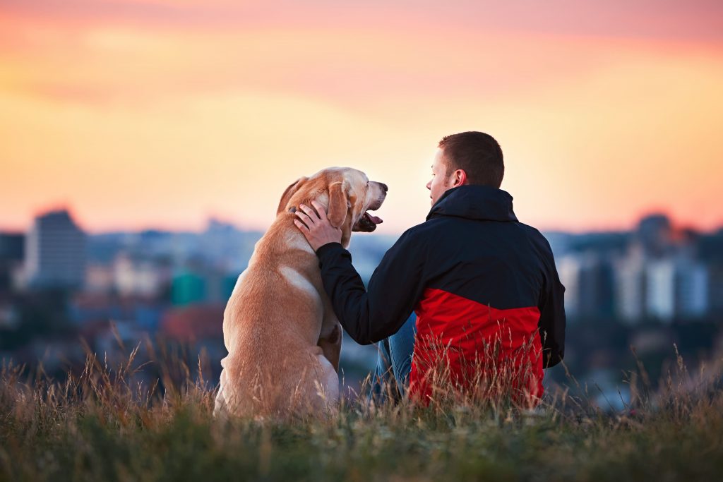 pet and owner sitting together outside after a walk