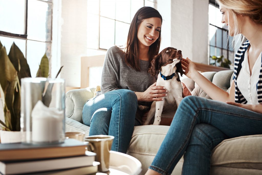 woman introducing her dog to her friend