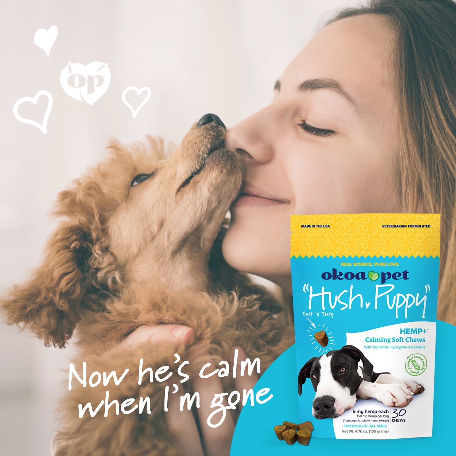 All-Natural CBD-Infused Calming Dog Treats