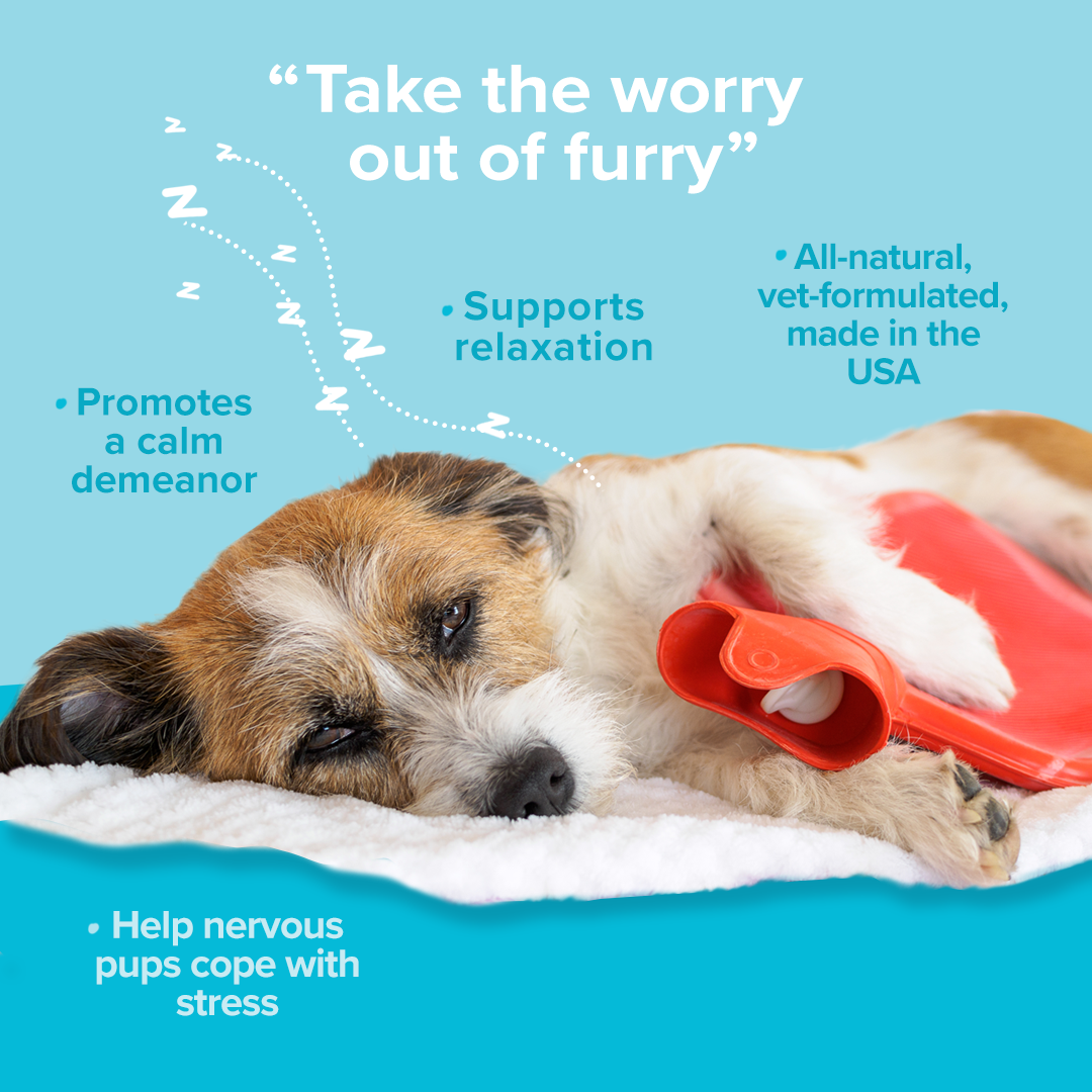 Hush, Puppy calming chews take the worry out of furry. They promote a calm demeanor, support relaxation, help pups cope with stress.